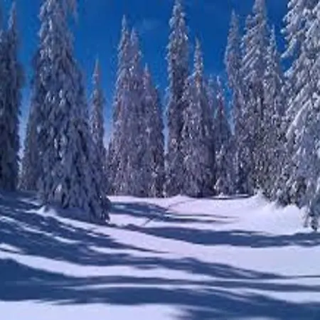 Waldhaus * Sankt Martin am Tennengebirge