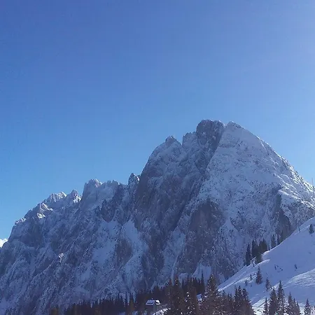 Waldhaus Kwatera prywatna *