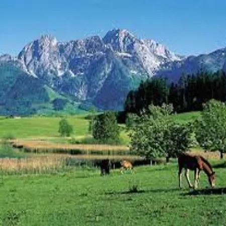 Waldhaus منزل للإقامة