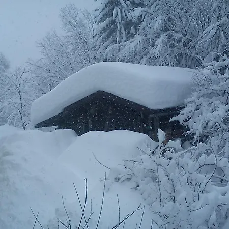 منزل للإقامة Waldhaus