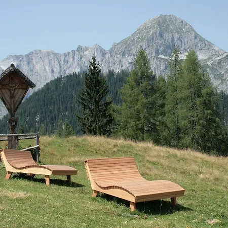 Проживание в семье Waldhaus *
