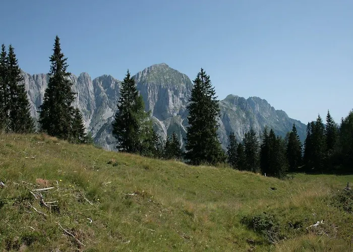Waldhaus Sankt Martin am Tennengebirge